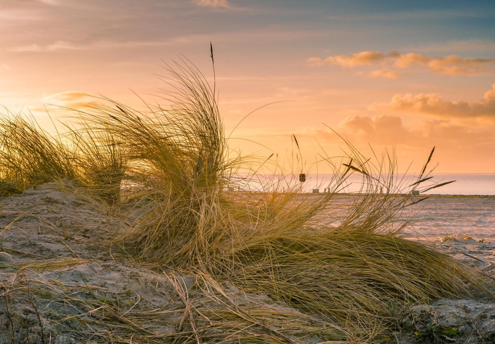 Regina Maris 4* Norddeich (Norden)
